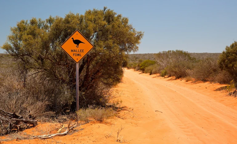 inundacoes-atingem-outback-australiano-apos-maiores-chuvas-em-50-anos-–-climainfo