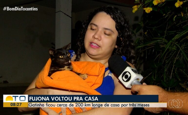 gata-desaparece-em-posto-a-200-km-de-casa-e-volta-sozinha-tres-meses-depois: