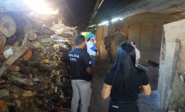 mae-de-jovem-desaparecida-que-pode-ter-sido-assassinada-pede-respostas: