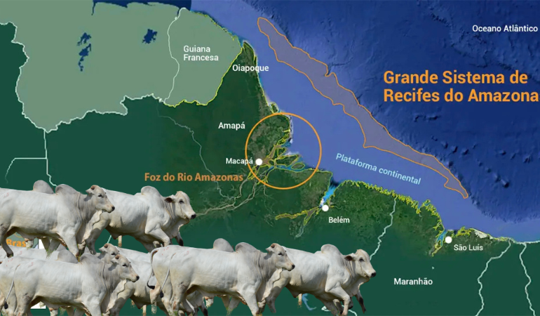 a-“boiada-do-petroleo”-passa-na-foz-do-amazonas-–-climainfo