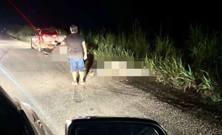carro-fica-destruido-apos-acidente-que-matou-bois-da-raca-nelore-na-to-070