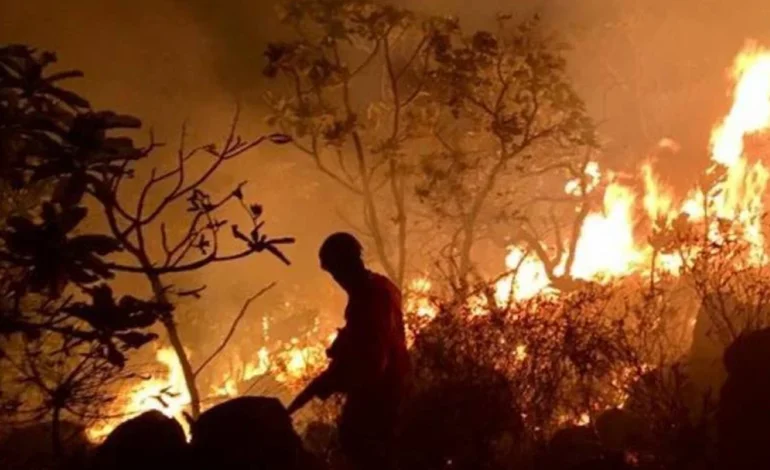 area-devastada-por-incendios-florestais-no-brasil-cai-70%-–-climainfo