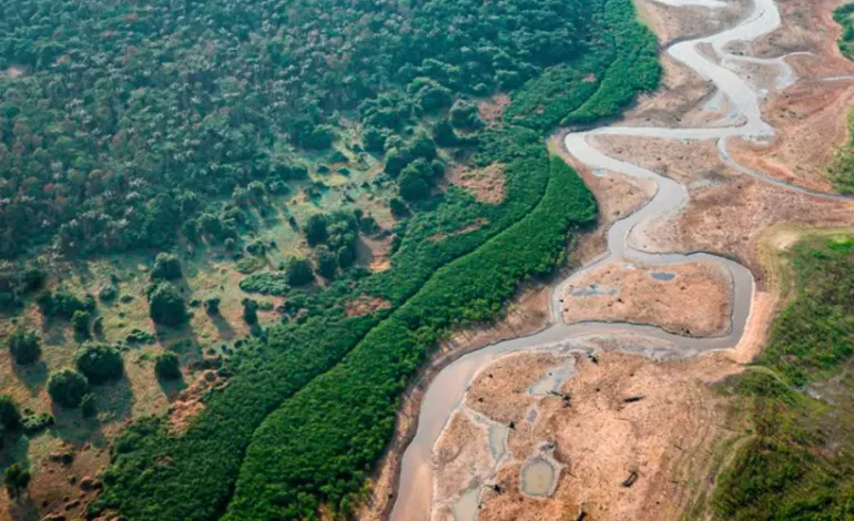 emenda-a-lei-florestal-do-peru-pode-acelerar-desmatamento-da-amazonia-–-climainfo