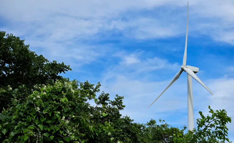 usinas-eolicas-e-solares-geram-impactos-socioambientais-na-bahia-–-climainfo