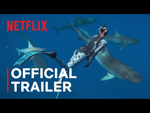 sussurro-de-shark-|-trailer-oficial-|-netflix