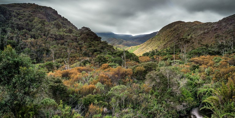 brasil-lanca-nova-estrategia-para-proteger-biodiversidade-–-climainfo