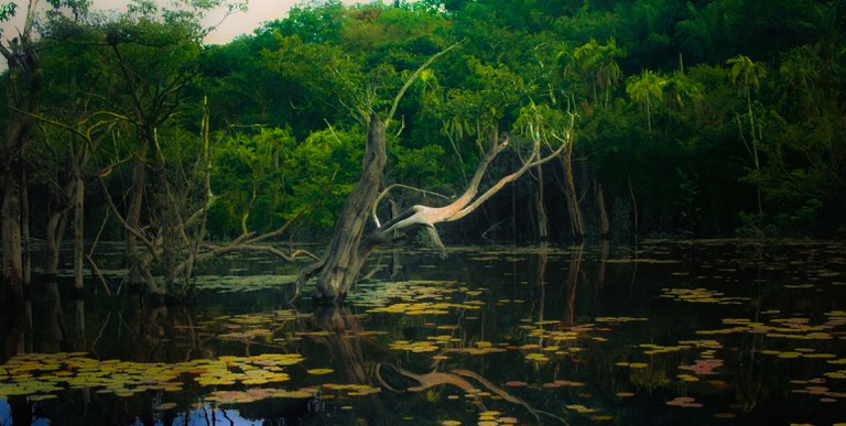 lula-assina-decreto-que-amplia-programa-areas-protegidas-da-amazonia-–-climainfo