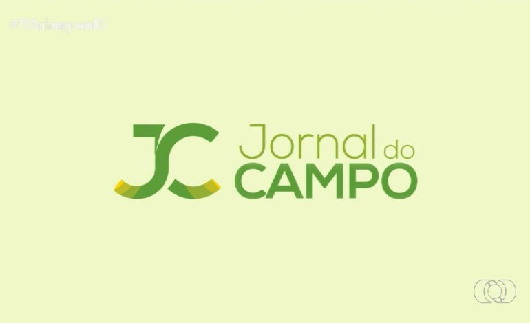 videos:-jornal-do-campo-to-de-domingo,-15-de-junho