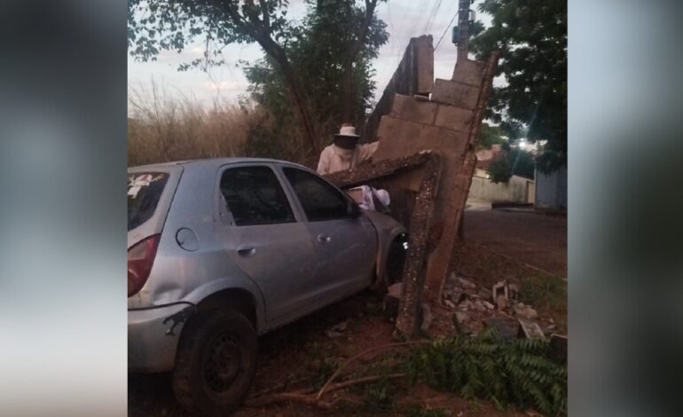 motorista-bate-carro-em-muro-apos-ser-atacado-por-abelhas-enquanto-dirigia