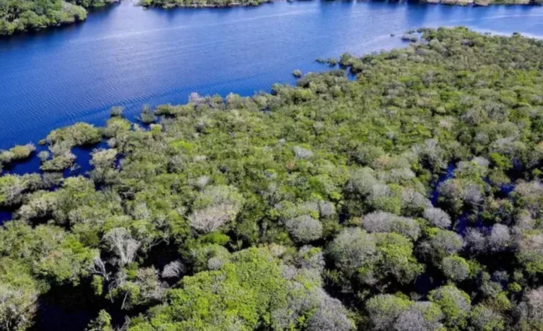 fundo-amazonia-bate-recorde-de-aprovacao-de-recursos-no-1o-semestre-–-climainfo