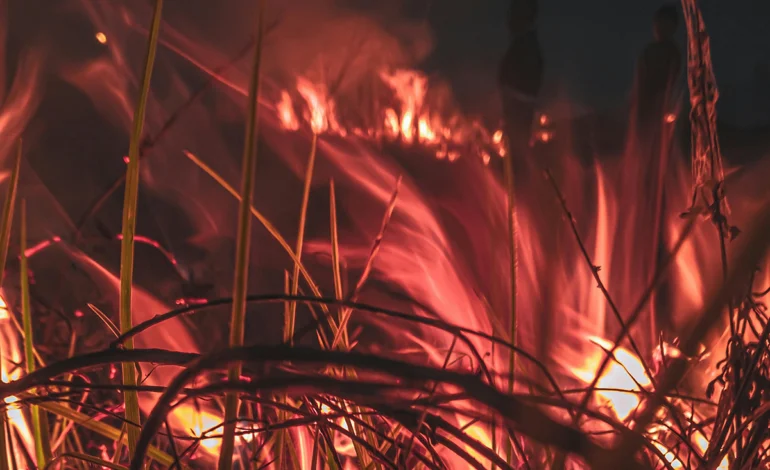 clima-extremo:-incendios-florestais-matam-oito-pessoas-na-europa-–-climainfo