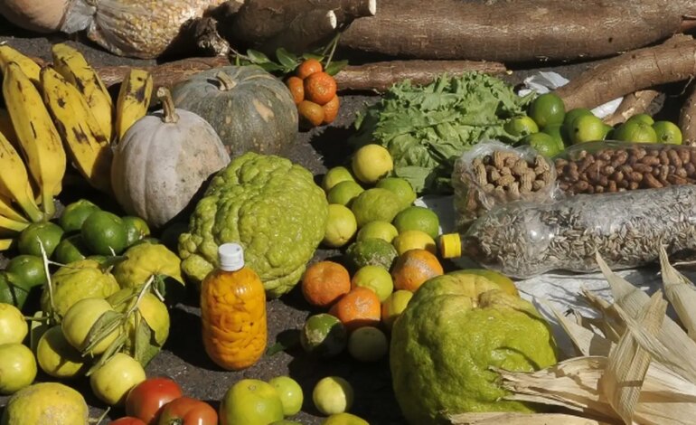 emprestimo-do-bndes-para-o-plano-safra-sera-recorde-de-r$-70-bilhoes