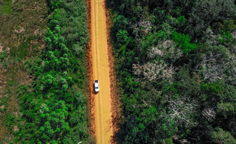 asfaltar-a-br-319-so-sera-viavel-com-controle-ambiental-rigoroso,-diz-ibama-–-climainfo