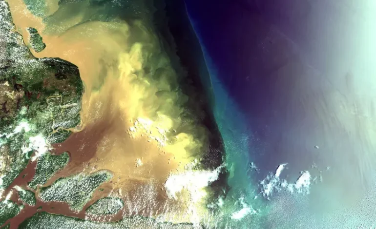 exploracao-de-petroleo-na-foz-do-amazonas-e-uma-“bomba”-na-biodiversidade-–-climainfo