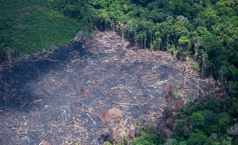 pl-da-devastacao-ameaca-biomas-e-producao-agricola-do-brasil-–-climainfo