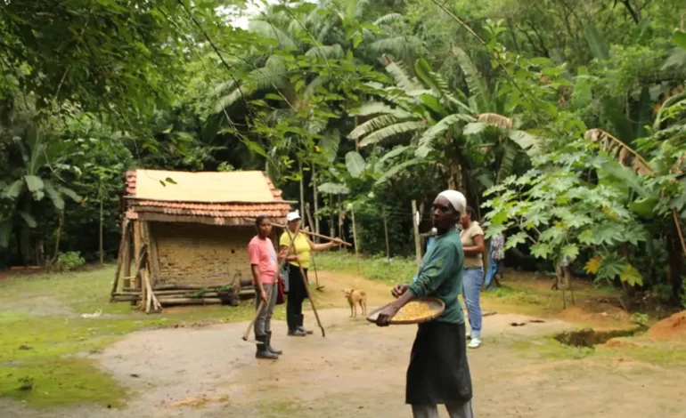 terras-de-afrodescendentes-e-quilombolas-tem-55%-menos-desmatamento-–-climainfo