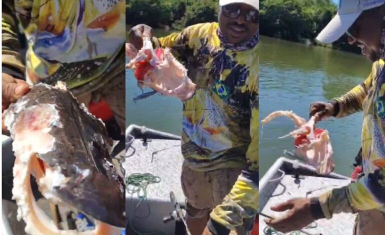 casal-fisga-peixe-e-se-surpreende-ao-puxar-apenas-carcaca: