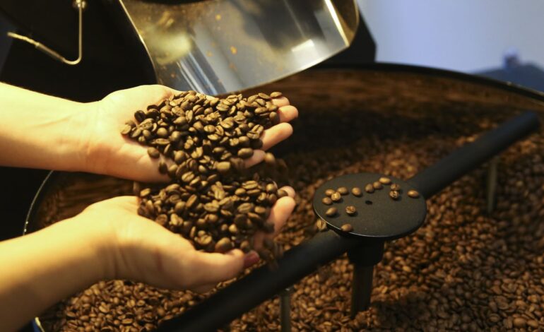 Setor cafeeiro pode ser forçado a redirecionar produção, diz USP