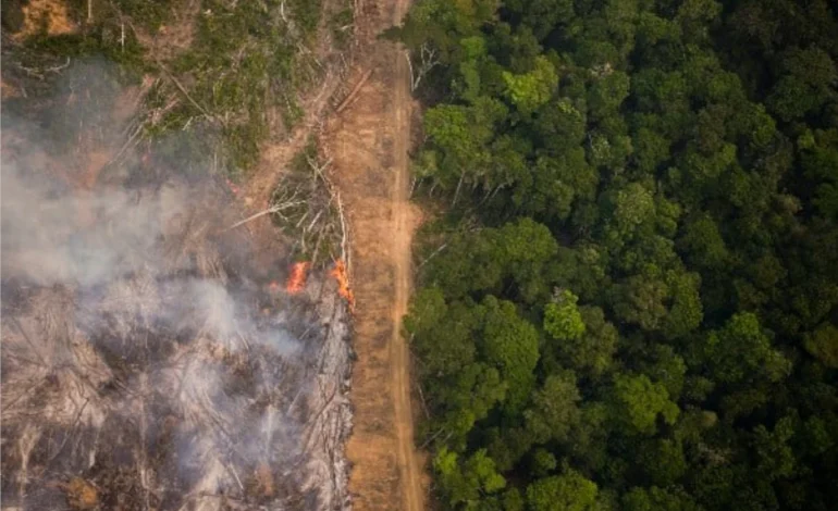 Impunidade segue como obstáculo contra grilagem na Amazônia – ClimaInfo