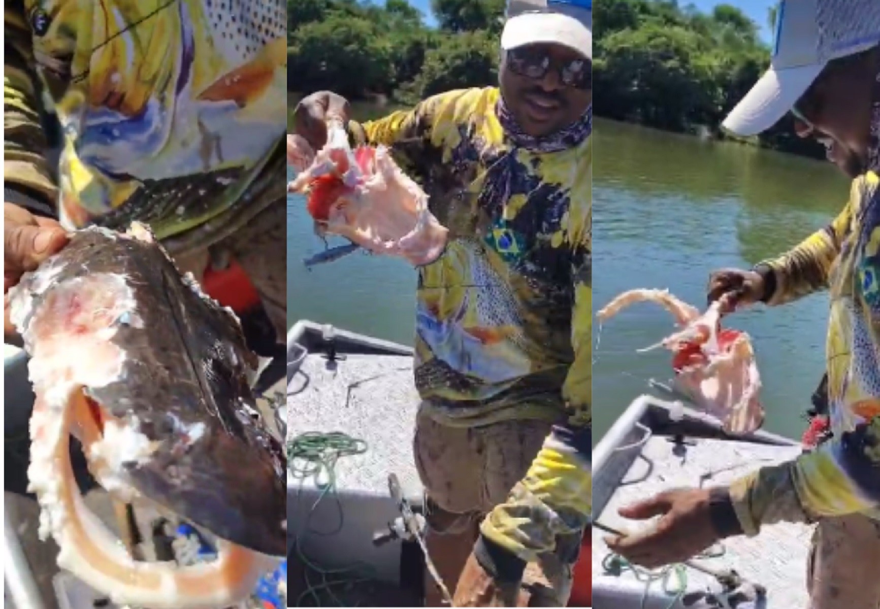 Sangue na água pode ter atraído piranhas que devoraram peixe fisgado por casal