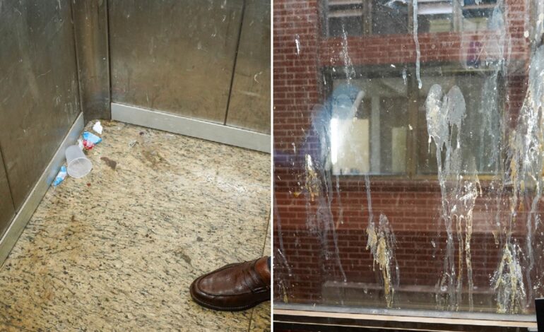 vistoria-encontra-fezes-de-pombo-e-ate-baratas-no-maior-hospital-publico-do-to
