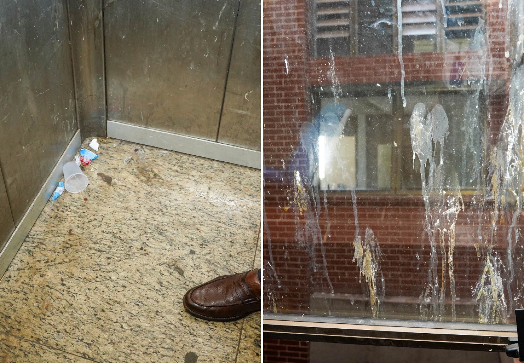 Vistoria encontra fezes de pombo e até baratas no maior hospital público do TO