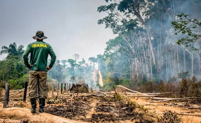 pl-da-devastacao-pode-aumentar-desmatamento-na-amazonia,-alerta-relatora-da-onu-–-climainfo