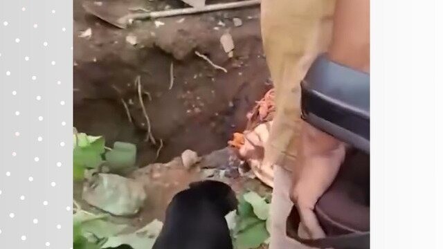 mulher-vira-re-por-assassinato-do-marido;-corpo-foi-achado-em-cova-no-quintal