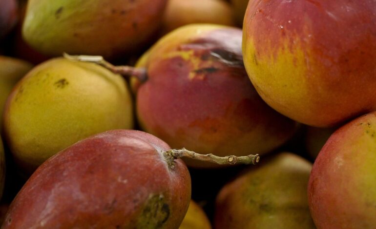 abrafrutas-apoia-plano-e-pede-atencao-a-pequenos-produtores