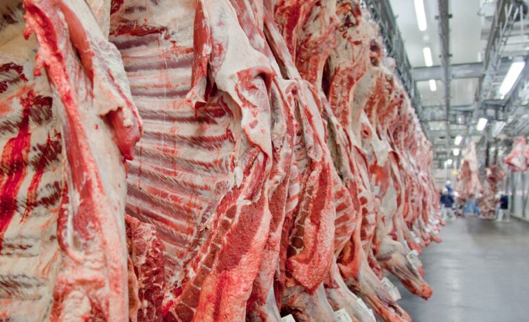 exportacao-de-carne-bovina-bate-recorde-em-mes-anterior-ao-tarifaco