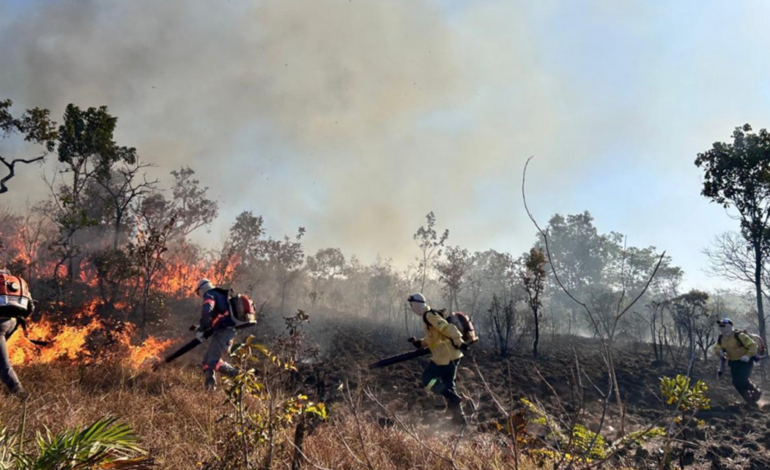 tocantins-registra-mais-de-quatro-mil-focos-de-queimadas-desde-o-inicio-de-2025