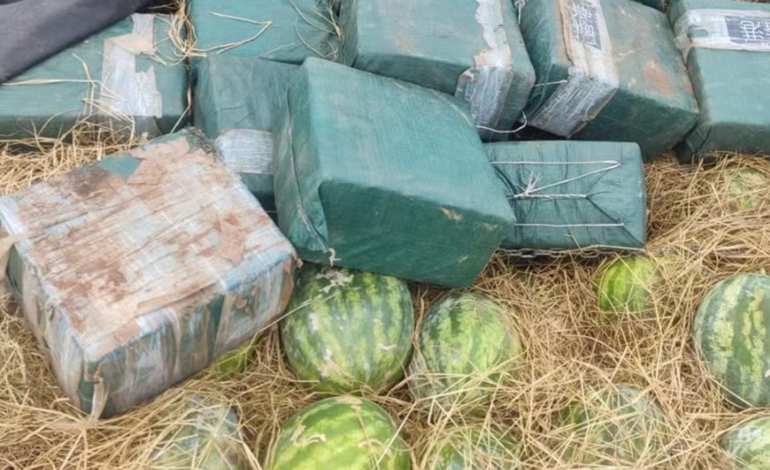 presos-com-cocaina-podem-estar-ligados-a-outras-apreensoes,-diz-inquerito