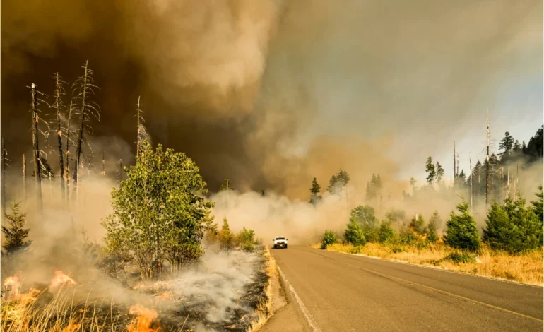 “reze-pela-chuva”:-incendios-florestais-no-canada-atingem-areas-nunca-queimadas-–-climainfo