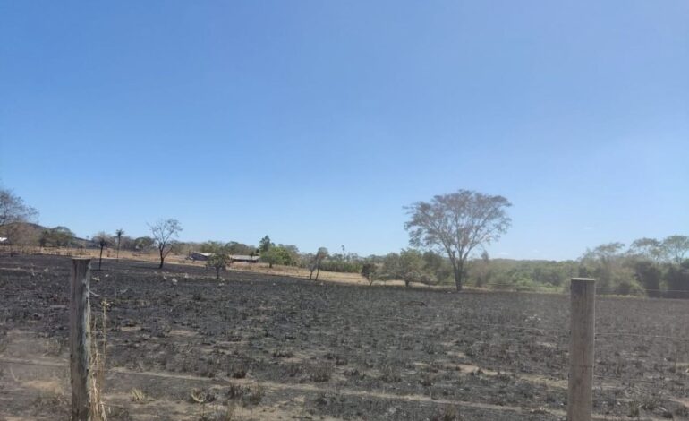 suspeito-de-incendio-criminoso-e-preso-em-flagrante-e-multado-em-r$-459-mil