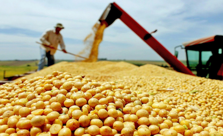 producao-da-safra-de-graos-deve-chegar-a-8,4-milhoes-de-toneladas-no-tocantins