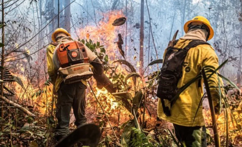 brasil-registra-menor-indices-de-focos-de-incendio-desde-2019,-mostra-o-inpe-–-climainfo