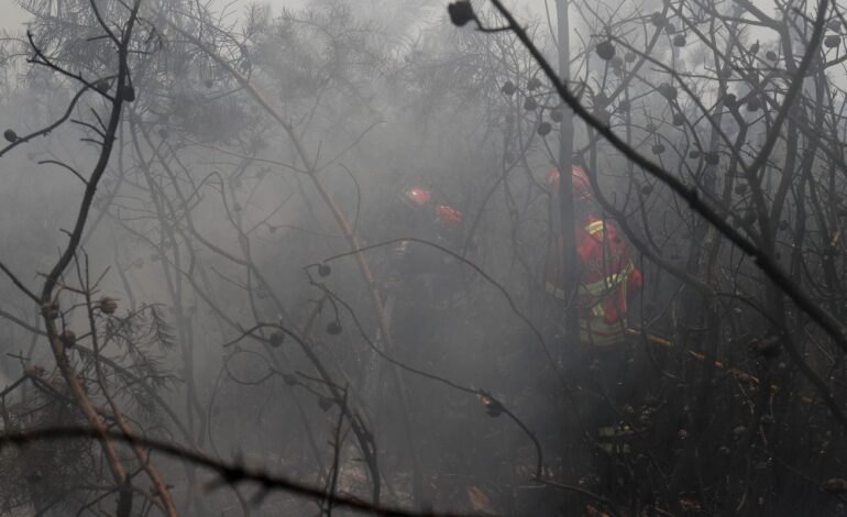ue:-incendios-florestais-ja-queimaram-mais-de-1-milhao-de-hectares