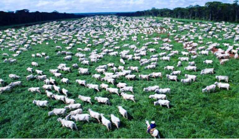emissoes-de-metano-no-brasil-crescem-6%-em-quatro-anos-–-climainfo