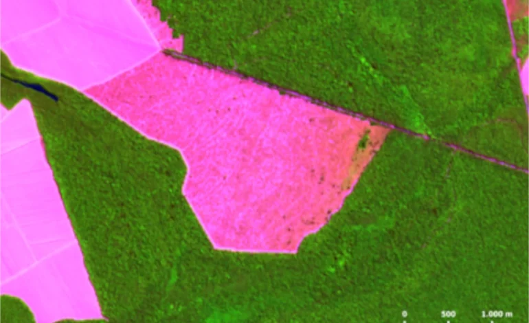 dez-municipios-concentram-quase-30%-do-desmatamento-na-amazonia-nos-ultimos-12-meses-–-climainfo