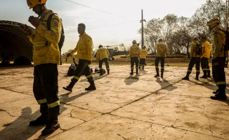 agosto-registra-menor-numero-de-incendios-em-quase-30-anos-no-brasil-–-climainfo