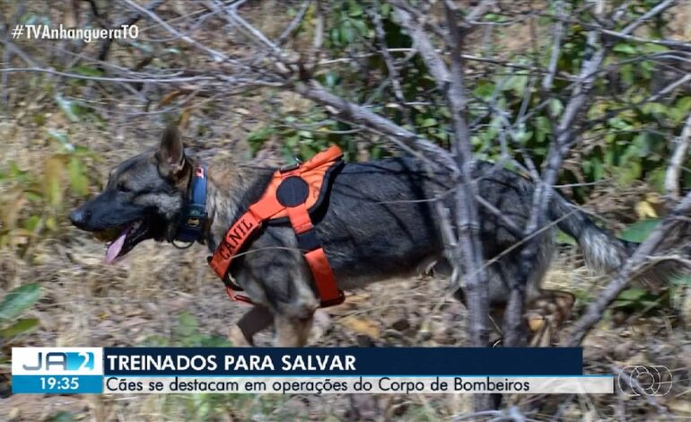 videos:-jornal-anhanguera-2a-edicao-–-to-de-terca-feira,-2-de-setembro-de-2025
