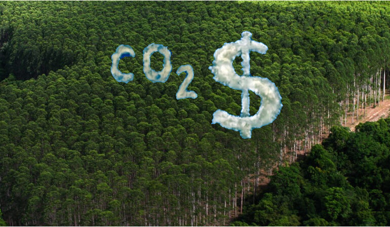 esquema-global-de-precificacao-de-carbono-pode-entrar-no-radar-da-cop30-–-climainfo