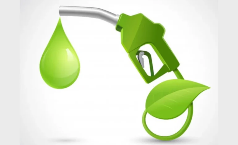 exclusao-de-biodiesel-de-leilao-de-energia-suspende-investimento-de-r$-500-milhoes-–-climainfo