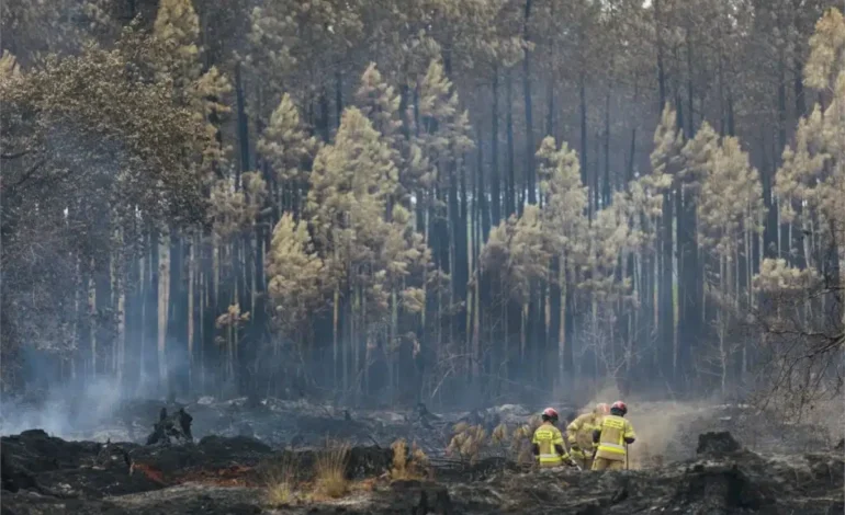 crise-climatica-piorou-condicoes-para-incendio-recorde-na-peninsula-iberica-–-climainfo