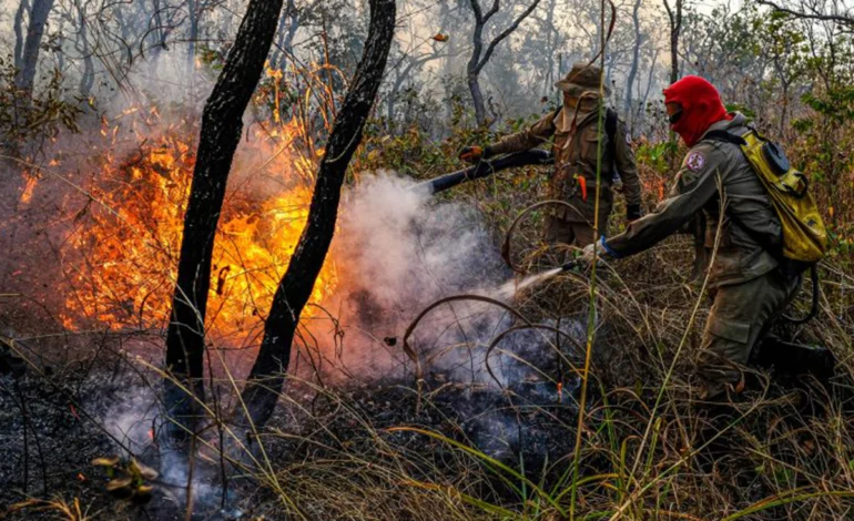amazonia:-apesar-de-avancos,-desmatamento-e-violencia-seguem-preocupando-–-climainfo
