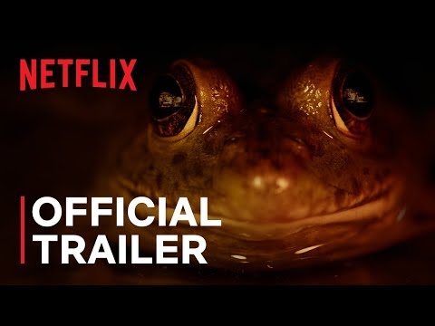 pesadelos-da-natureza-|-trailer-oficial-|-netflix