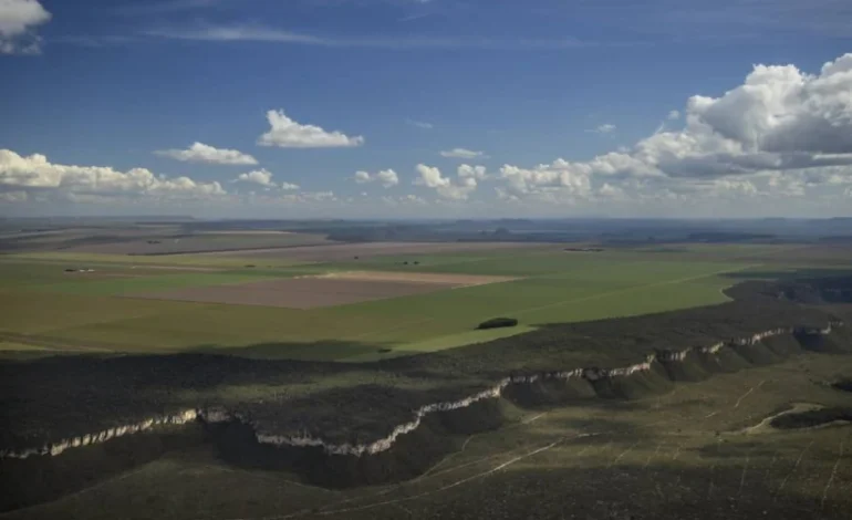 dia-do-cerrado:-como-salvar-a-caixa-d’agua-do-brasil?-–-climainfo