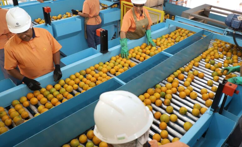 exportacao-de-produtos-atingidos-por-tarifaco-cai-22%-em-agosto