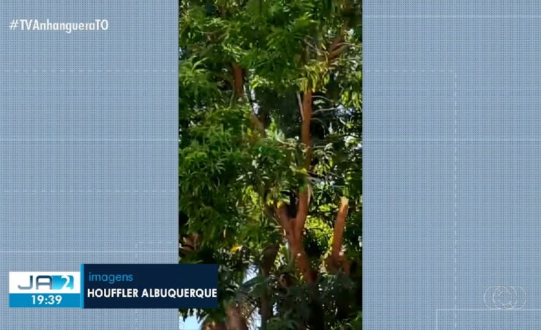 videos:-jornal-anhanguera-2a-edicao-–-to-de-sexta-feira,-12-de-setembro-de-2025