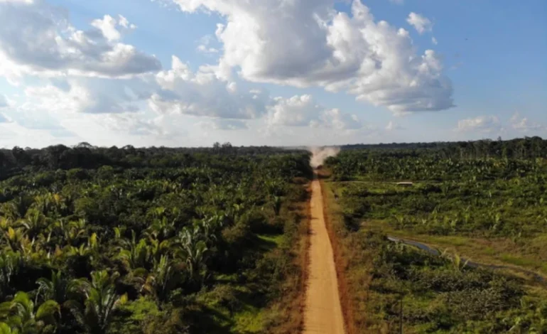 br-319-tem-intensa-venda-de-terras-antes-do-asfalto,-e-grilagem-devasta-floresta-–-climainfo